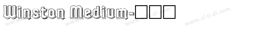 Winston Medium字体转换